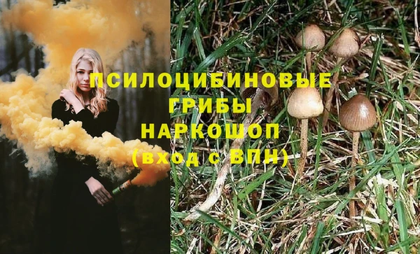 марки nbome Аркадак