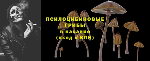 стаф Армянск